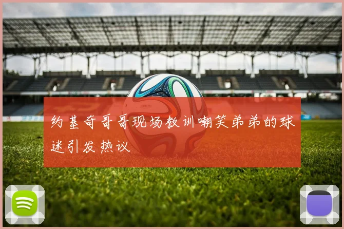 约基奇哥哥现场教训嘲笑弟弟的球迷引发热议