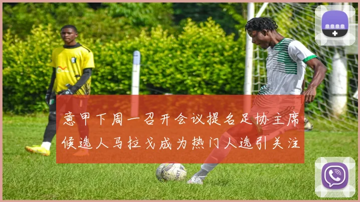 意甲下周一召开会议提名足协主席候选人马拉戈成为热门人选引关注